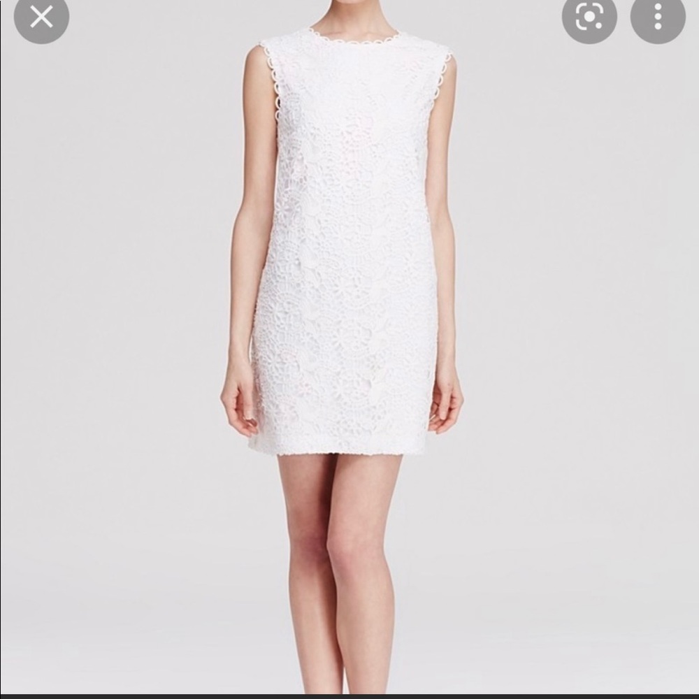 Cynthia Steffe Dress